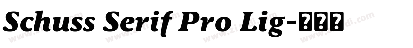 Schuss Serif Pro Lig字体转换